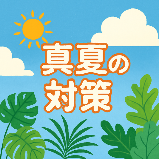 【真夏の肌、負けてない？】ベタつき・乾燥・紫外線…夏を快適に乗り切るスキンケアのヒント☀️🌴