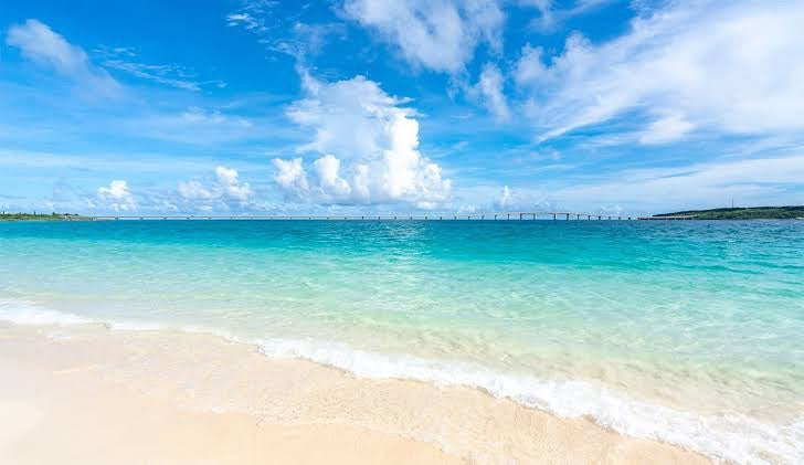 【大谷翔平選手のホームラン3本！✨その勢い、肌にもほしい！】