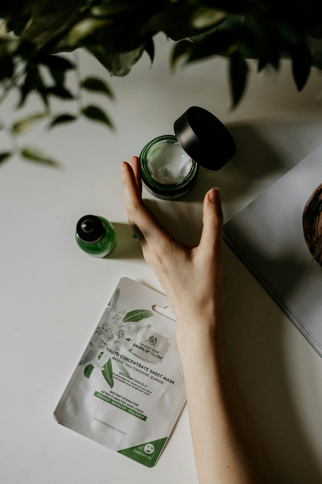 花粉に負けない、私だけのバリア。過酷な季節を乗り越える「土台」の整え方🌿