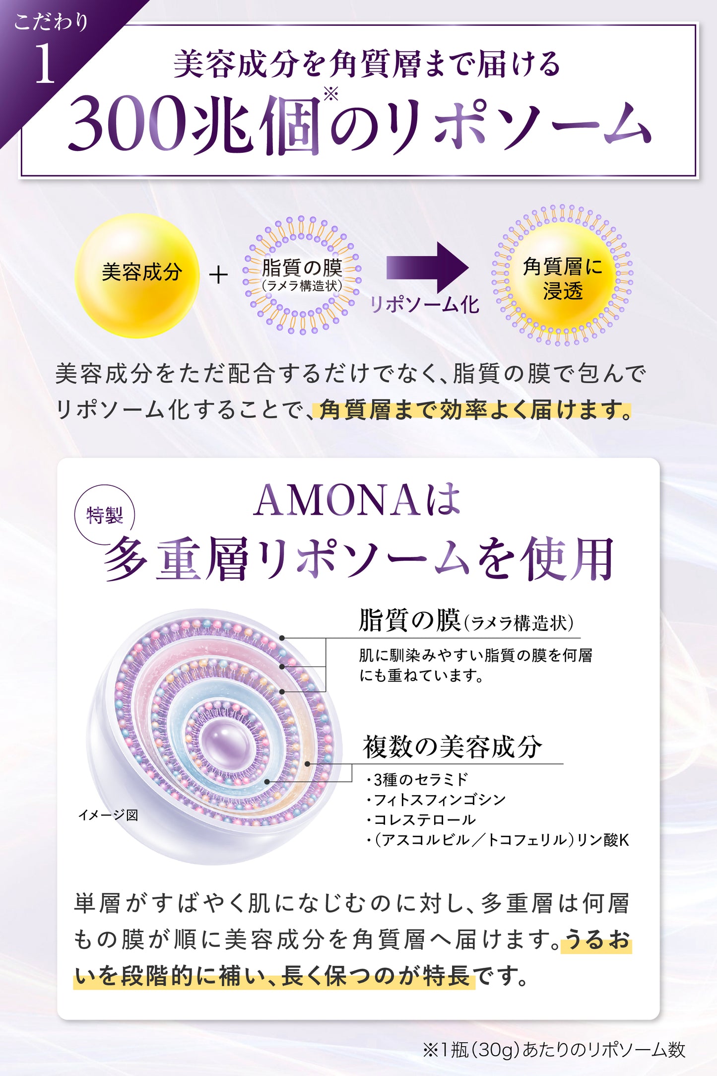 AMONA 300兆のリポソームクリーム【10月発売予定】