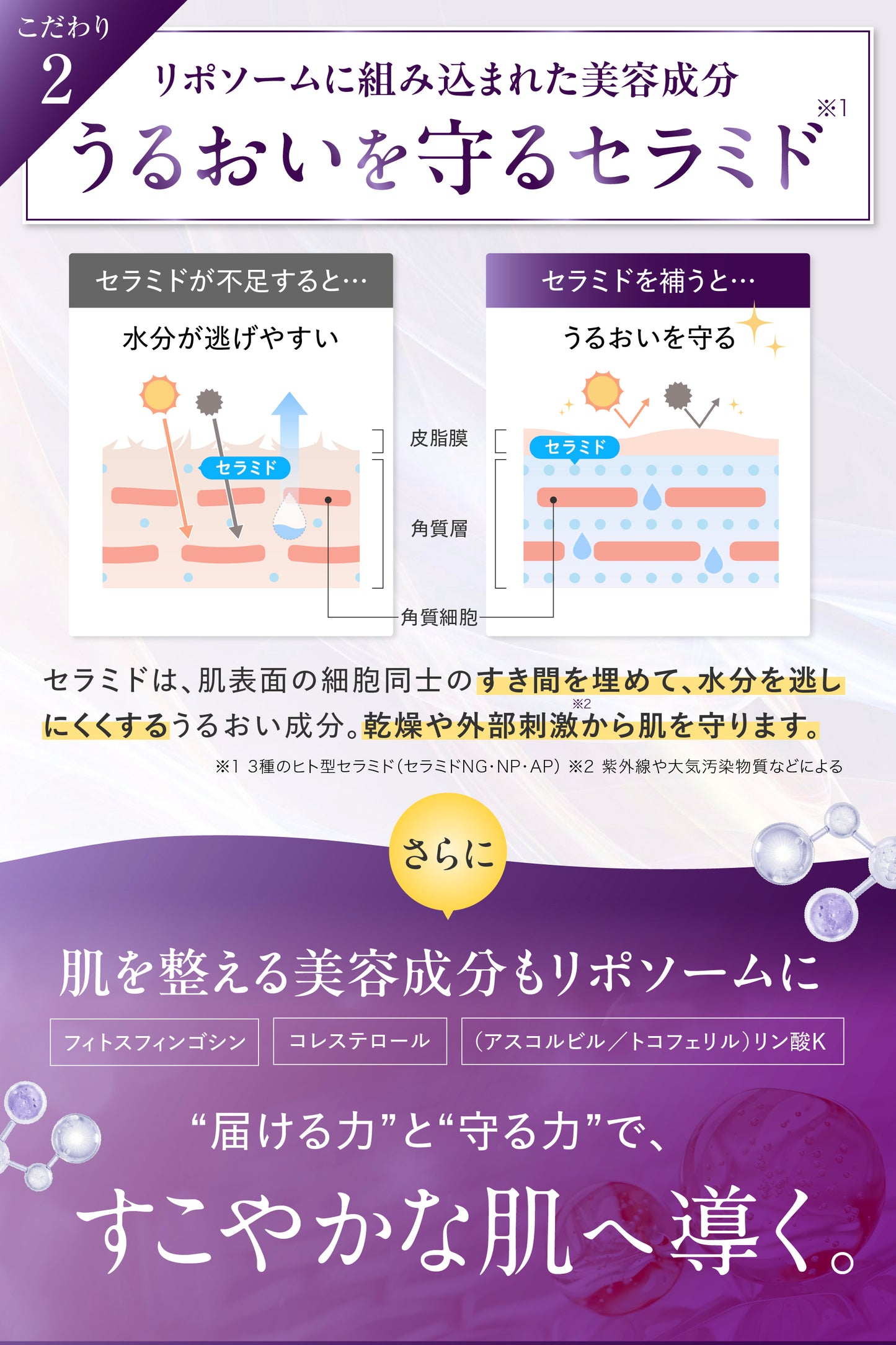 AMONA 300兆のリポソームクリーム【10月発売予定】
