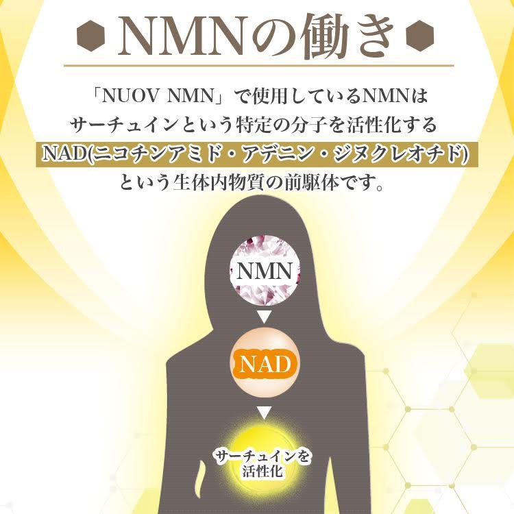 NMN サプリメント